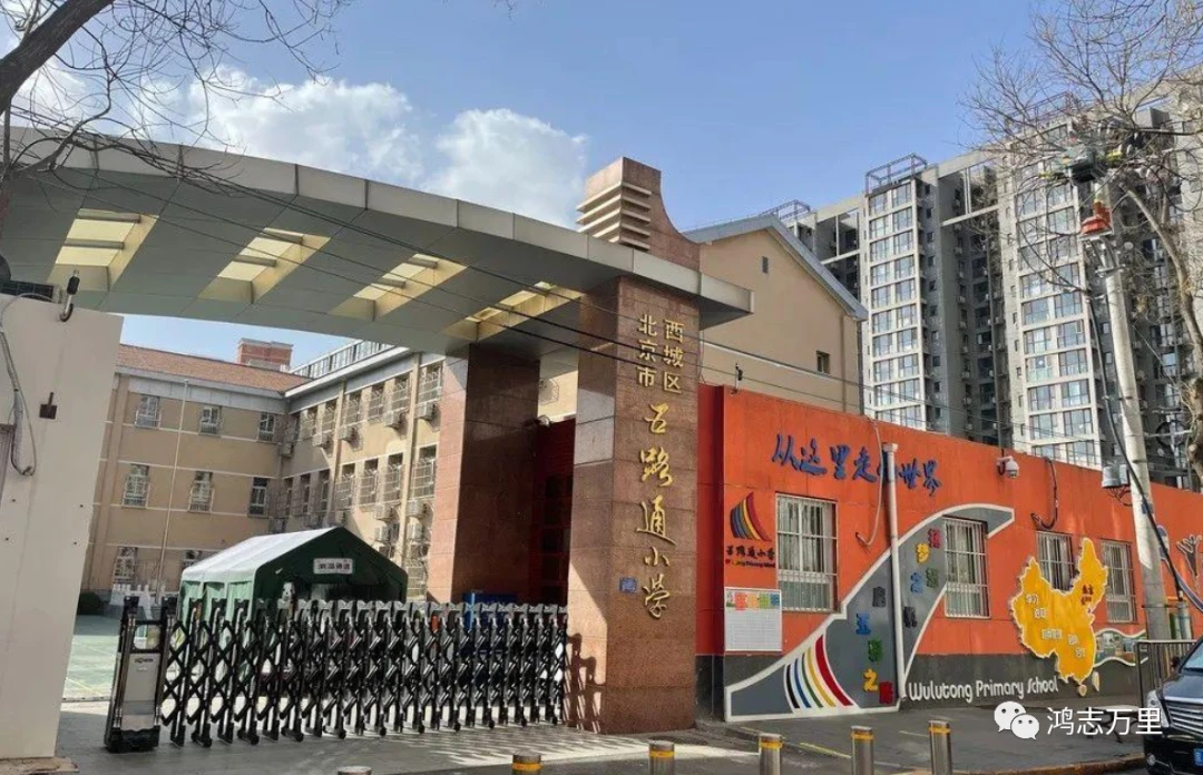 如何借助专业篮球教练提升个人声誉_1